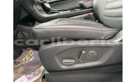 Buy Import Ford Edge White Car in Import - Dubai in Bomi County Buy Import Ford Edge White Car in Import - Dubai in Bomi County