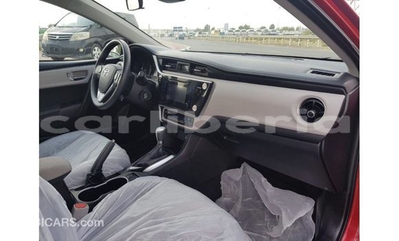 Buy Import Toyota Corolla Red Car in Import - Dubai in Bomi County Buy Import Toyota Corolla Red Car in Import - Dubai in Bomi County