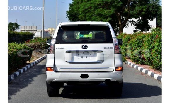 Buy Import Lexus GX White Car in Import - Dubai in Bomi County Buy Import Lexus GX White Car in Import - Dubai in Bomi County