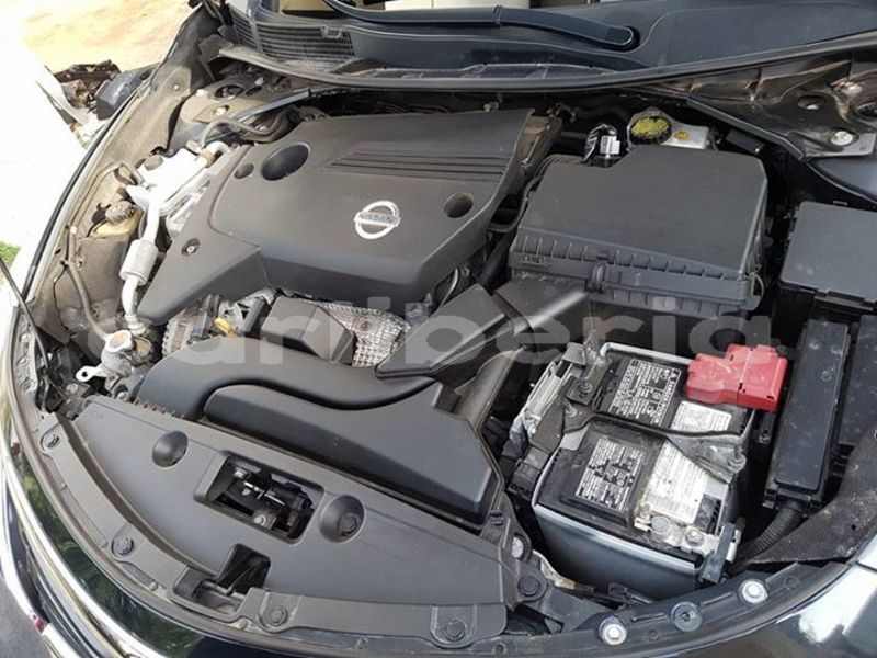 Big with watermark 37390693 1806084039475082 1482043014548291584 n