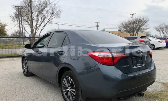 Buy Used Toyota Corolla Beige Car in Monrovia in Montserrado County Buy Used Toyota Corolla Beige Car in Monrovia in Montserrado County