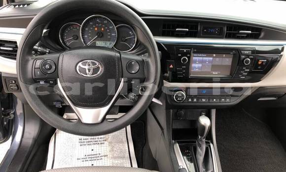 Buy Used Toyota Corolla Beige Car in Monrovia in Montserrado County Buy Used Toyota Corolla Beige Car in Monrovia in Montserrado County