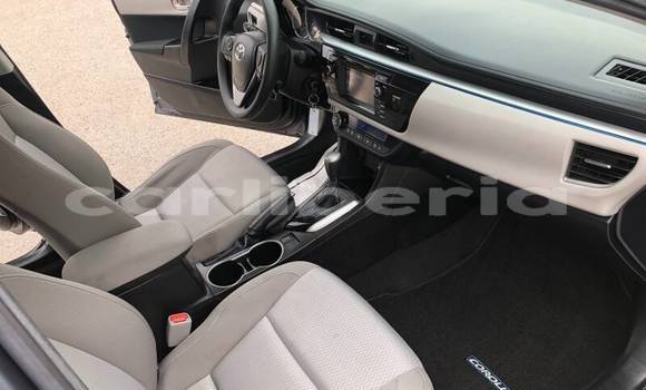 Buy Used Toyota Corolla Beige Car in Monrovia in Montserrado County Buy Used Toyota Corolla Beige Car in Monrovia in Montserrado County