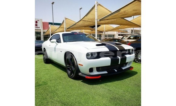 Buy Import Dodge Challenger White Car in Import - Dubai in Bomi County
