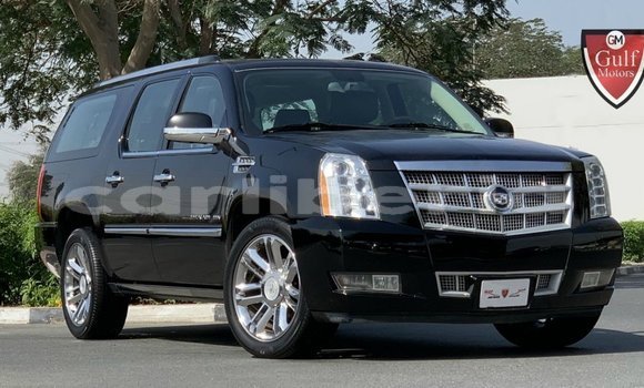 Buy Import Cadillac Escalade Black Car in Import - Dubai in Bomi County
