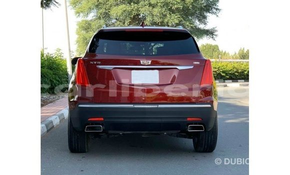 Acheter Import Voiture Cadillac XT5 Rouge à Import - Dubai, Comté de Bomi Acheter Import Voiture Cadillac XT5 Rouge à Import - Dubai, Comté de Bomi