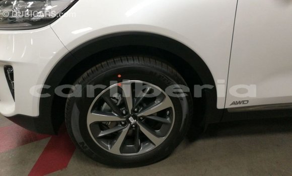 Buy Import Kia Sorento White Car in Import - Dubai in Bomi County Buy Import Kia Sorento White Car in Import - Dubai in Bomi County