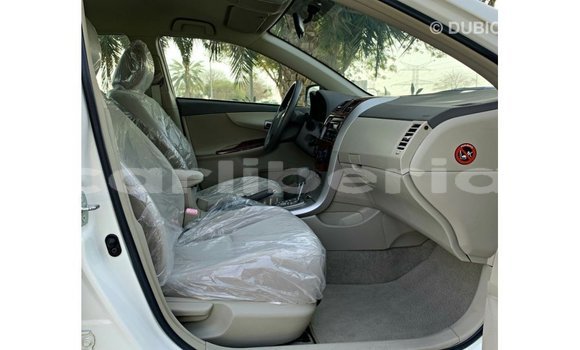 Buy Import Toyota Corolla White Car in Import - Dubai in Bomi County Buy Import Toyota Corolla White Car in Import - Dubai in Bomi County