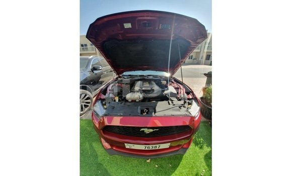 Acheter Import Voiture Ford Mustang Rouge à Import - Dubai, Comté de Bomi Acheter Import Voiture Ford Mustang Rouge à Import - Dubai, Comté de Bomi