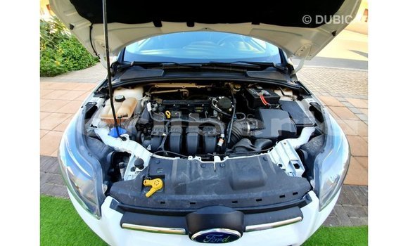 Buy Import Ford Focus White Car in Import - Dubai in Bomi County Buy Import Ford Focus White Car in Import - Dubai in Bomi County