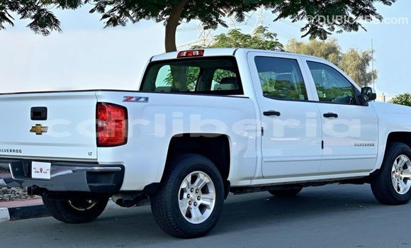 Buy Import Chevrolet Silverado White Car in Import - Dubai in Bomi County Buy Import Chevrolet Silverado White Car in Import - Dubai in Bomi County