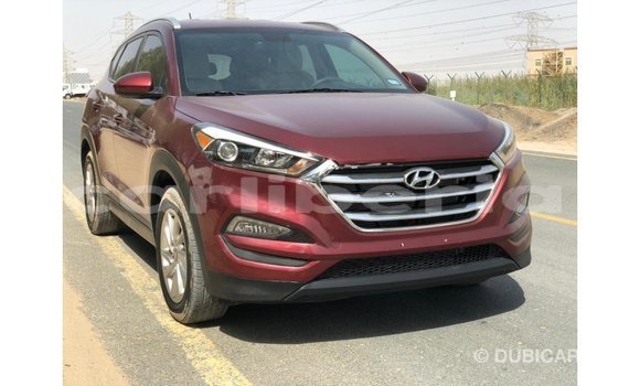 Buy Import Hyundai Tucson Red Car in Import - Dubai in Bomi County Buy Import Hyundai Tucson Red Car in Import - Dubai in Bomi County