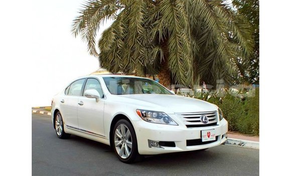 Buy Import Lexus LS White Car in Import - Dubai in Bomi County Buy Import Lexus LS White Car in Import - Dubai in Bomi County