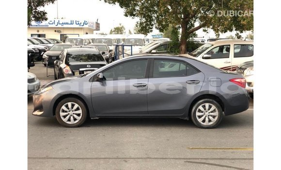 Buy Import Toyota Corolla Other Car in Import - Dubai in Bomi County Buy Import Toyota Corolla Other Car in Import - Dubai in Bomi County