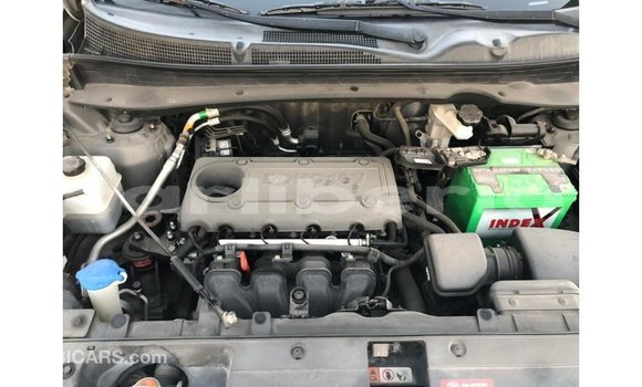 Buy Import Kia Sportage Other Car in Import - Dubai in Bomi County Buy Import Kia Sportage Other Car in Import - Dubai in Bomi County