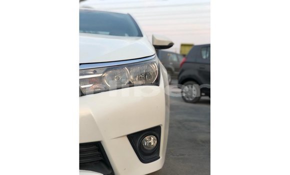 Buy Import Toyota Corolla White Car in Import - Dubai in Bomi County Buy Import Toyota Corolla White Car in Import - Dubai in Bomi County