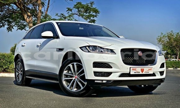 Buy Import Jaguar F-Pace White Car in Import - Dubai in Bomi County