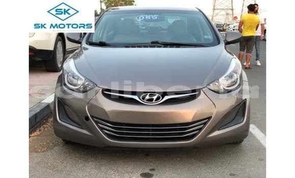 Buy Import Hyundai Elantra Brown Car in Import - Dubai in Bomi County