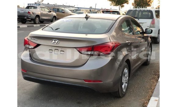 Buy Import Hyundai Elantra Brown Car in Import - Dubai in Bomi County Buy Import Hyundai Elantra Brown Car in Import - Dubai in Bomi County