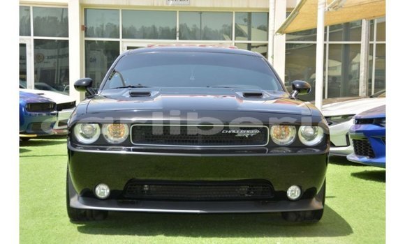 Acheter Import Voiture Dodge Challenger Noir à Import - Dubai, Comté de Bomi