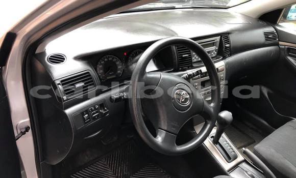 Buy Used Toyota Runx Beige Car in Monrovia in Montserrado County Buy Used Toyota Runx Beige Car in Monrovia in Montserrado County