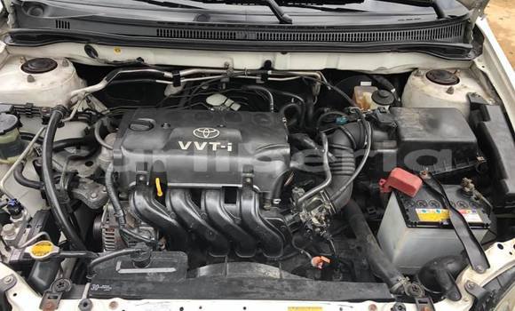 Buy Used Toyota Runx Beige Car in Monrovia in Montserrado County Buy Used Toyota Runx Beige Car in Monrovia in Montserrado County