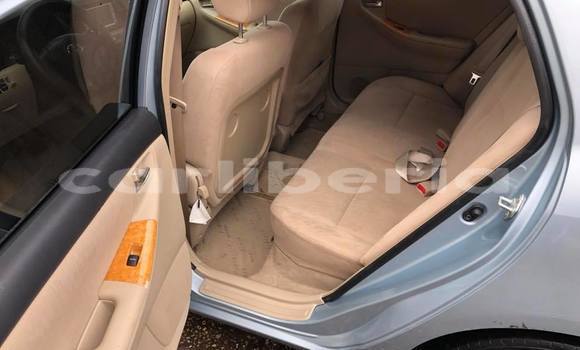 Buy Used Toyota Runx Blue Car in Monrovia in Montserrado County Buy Used Toyota Runx Blue Car in Monrovia in Montserrado County