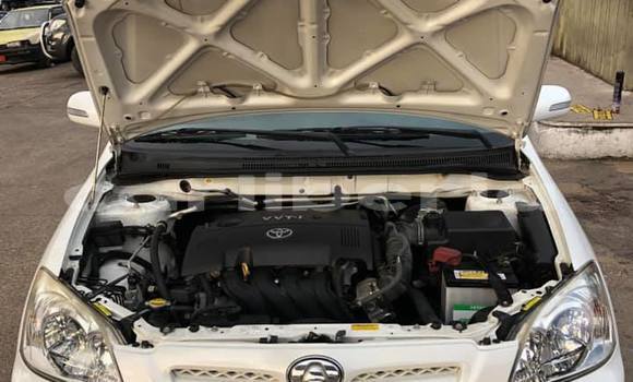 Acheter Occasion Voiture Toyota Runx Blanc à Monrovia, Comté de Montserrado Acheter Occasion Voiture Toyota Runx Blanc à Monrovia, Comté de Montserrado