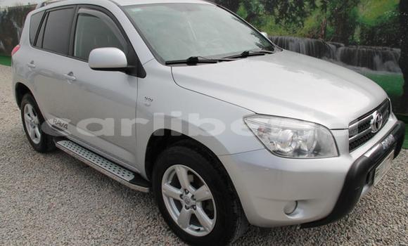 Buy Used Toyota RAV4 Other Car in Fish Town in Grand Gedeh County Buy Used Toyota RAV4 Other Car in Fish Town in Grand Gedeh County