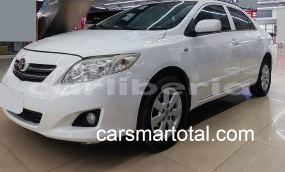 Buy Used Toyota Corolla White Car in Cestos City in River Cess County Buy Used Toyota Corolla White Car in Cestos City in River Cess County