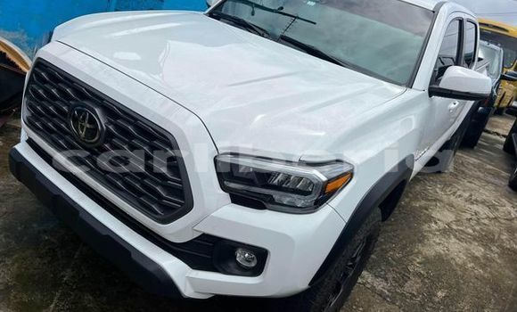 Buy Used Toyota Tacoma Other Car in Import - Dubai in Bomi County