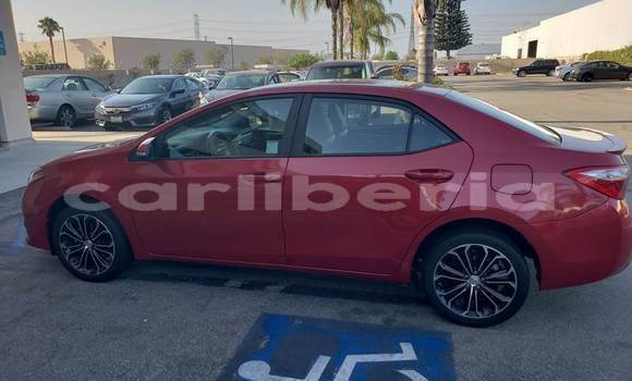 Buy Used Toyota Corolla Red Car in Monrovia in Montserrado County Buy Used Toyota Corolla Red Car in Monrovia in Montserrado County