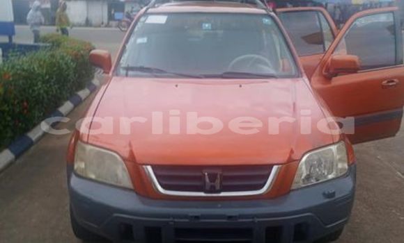 Buy Used Honda Accord Other Car in Bensonville in Montserrado County