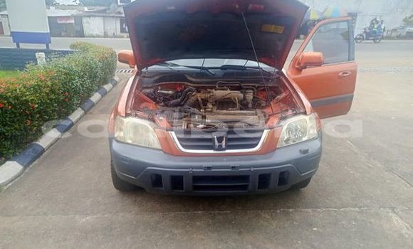 Buy Used Honda Accord Other Car in Bensonville in Montserrado County Buy Used Honda Accord Other Car in Bensonville in Montserrado County