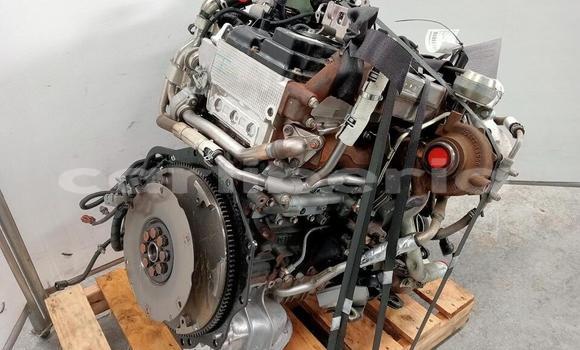 Buy ISUZU DMAX 3.0 in Monrovia in Montserrado County Buy ISUZU DMAX 3.0 in Monrovia in Montserrado County