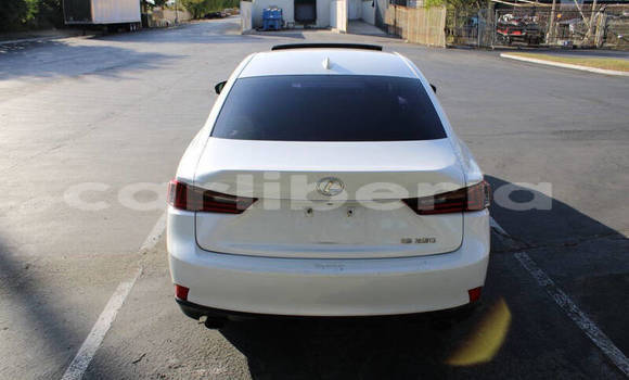 Buy Used Lexus IS White Car in Monrovia in Montserrado County Buy Used Lexus IS White Car in Monrovia in Montserrado County