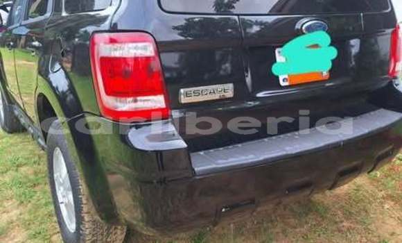 Buy Used Ford Escape Other Car in Monrovia in Montserrado County