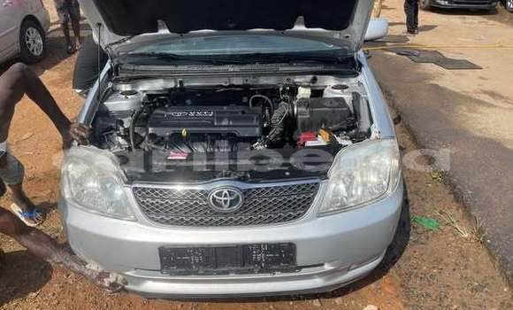 Buy Used Toyota Corolla Other Car in Monrovia in Montserrado County Buy Used Toyota Corolla Other Car in Monrovia in Montserrado County