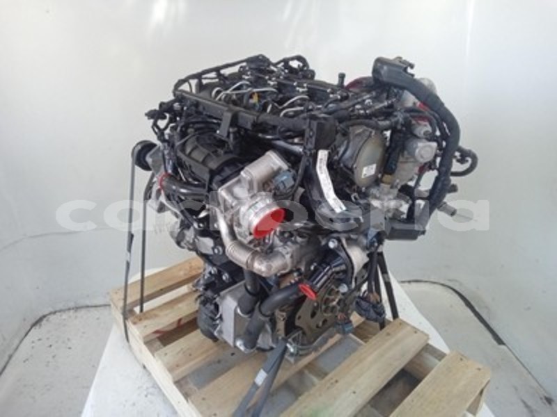 Big with watermark s l960d