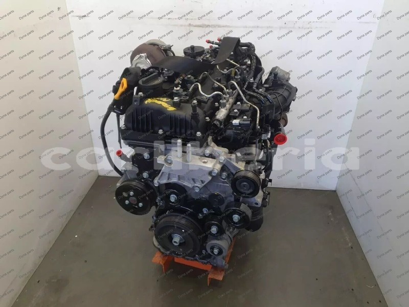 Big with watermark 1