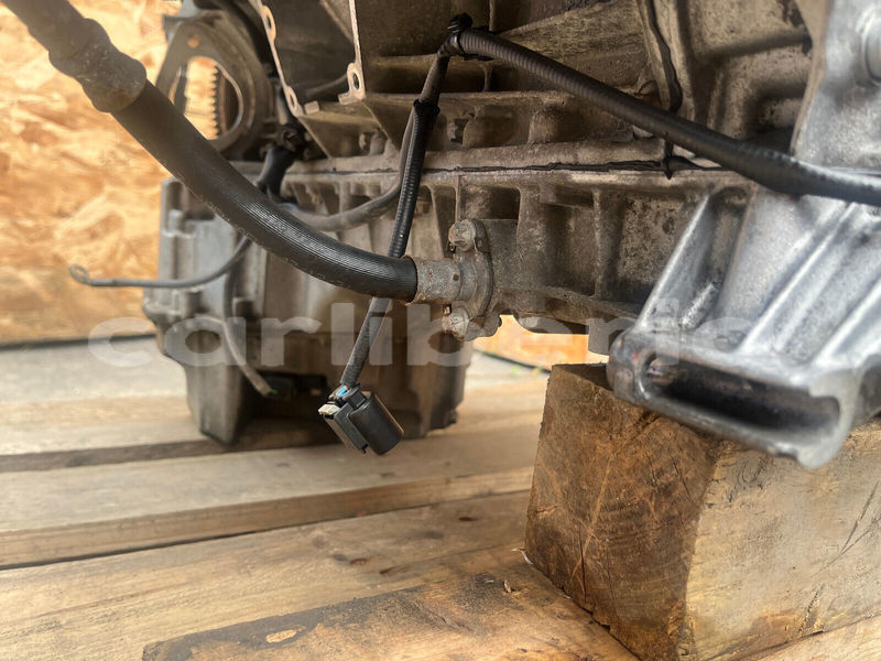 Big with watermark s l160010