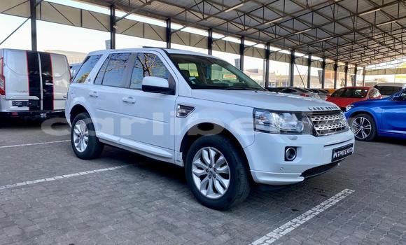 Buy Used Land Rover Freelander White Car in Monrovia in Montserrado County