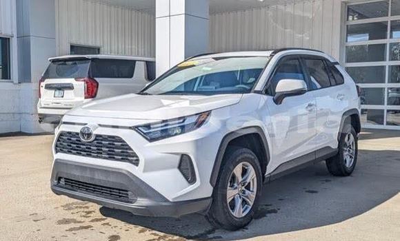 Buy Used Toyota RAV4 White Car in Cestos City in River Cess County