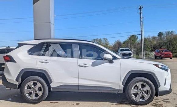 Buy Used Toyota RAV4 White Car in Cestos City in River Cess County Buy Used Toyota RAV4 White Car in Cestos City in River Cess County