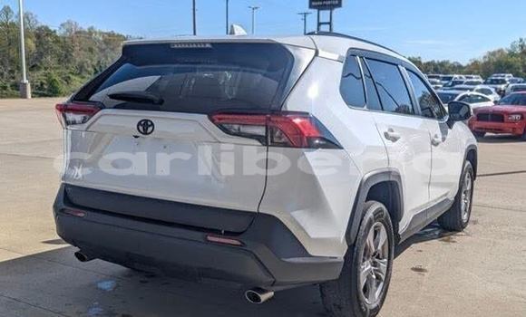 Buy Used Toyota RAV4 White Car in Cestos City in River Cess County Buy Used Toyota RAV4 White Car in Cestos City in River Cess County