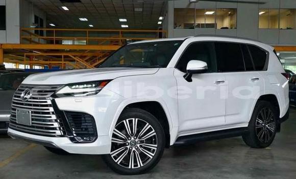 Buy Used Lexus LX White Car in Monrovia in Montserrado County