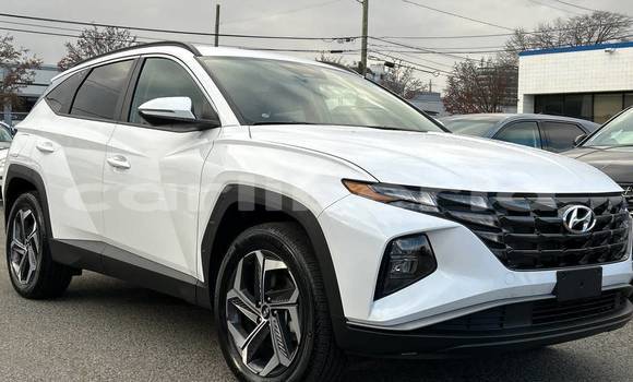 Buy Used Hyundai Tucson White Car in Monrovia in Montserrado County