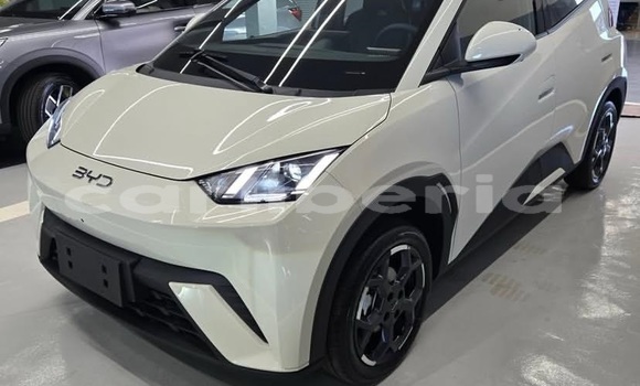 Buy Used BYD Seagull White Car in Monrovia in Montserrado County