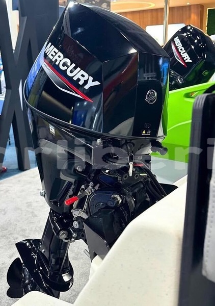 Big with watermark mercury