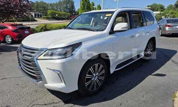 Acheter Occasion Voiture Lexus LX 570 Blanc à Fish Town, Grand Gedeh County